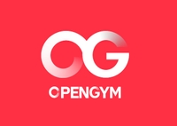Open Gym